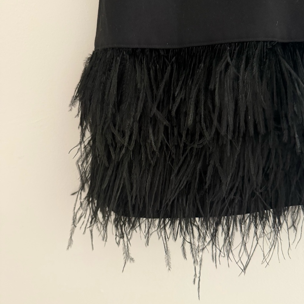 Elizabeth and James Size 6 Black Sleeveless Feather-Hem Mini Dress - Picture 3 of 7